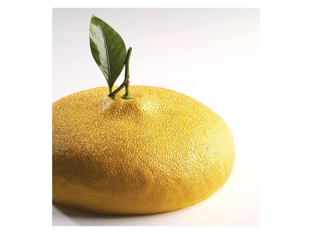 Moule silicone Citron - format gâteau - Par Cedric Grolet - Pavoni