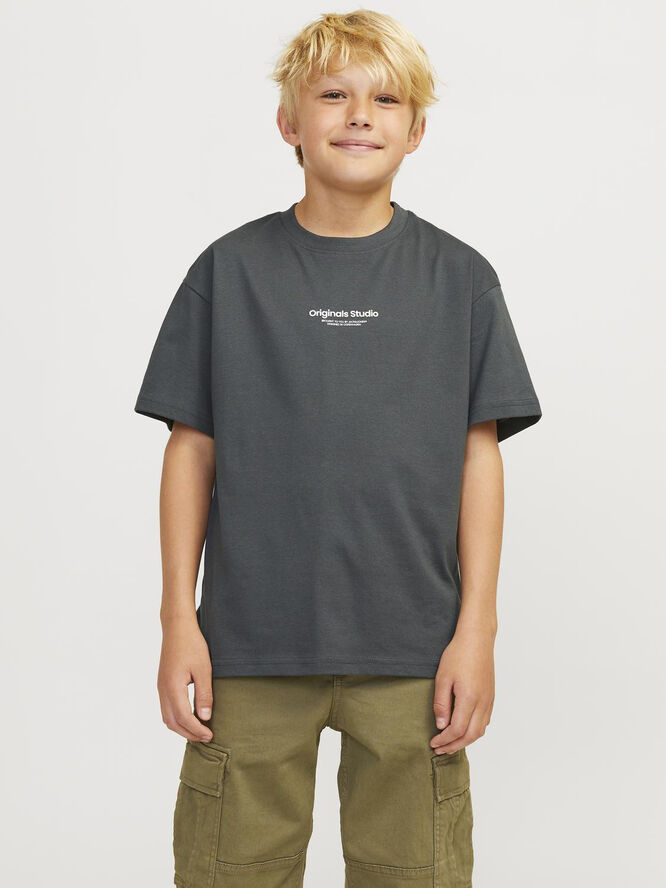 Jack & Jones JORVESTERBRO TEE SS CREW NECK NOOS Forest river/loose