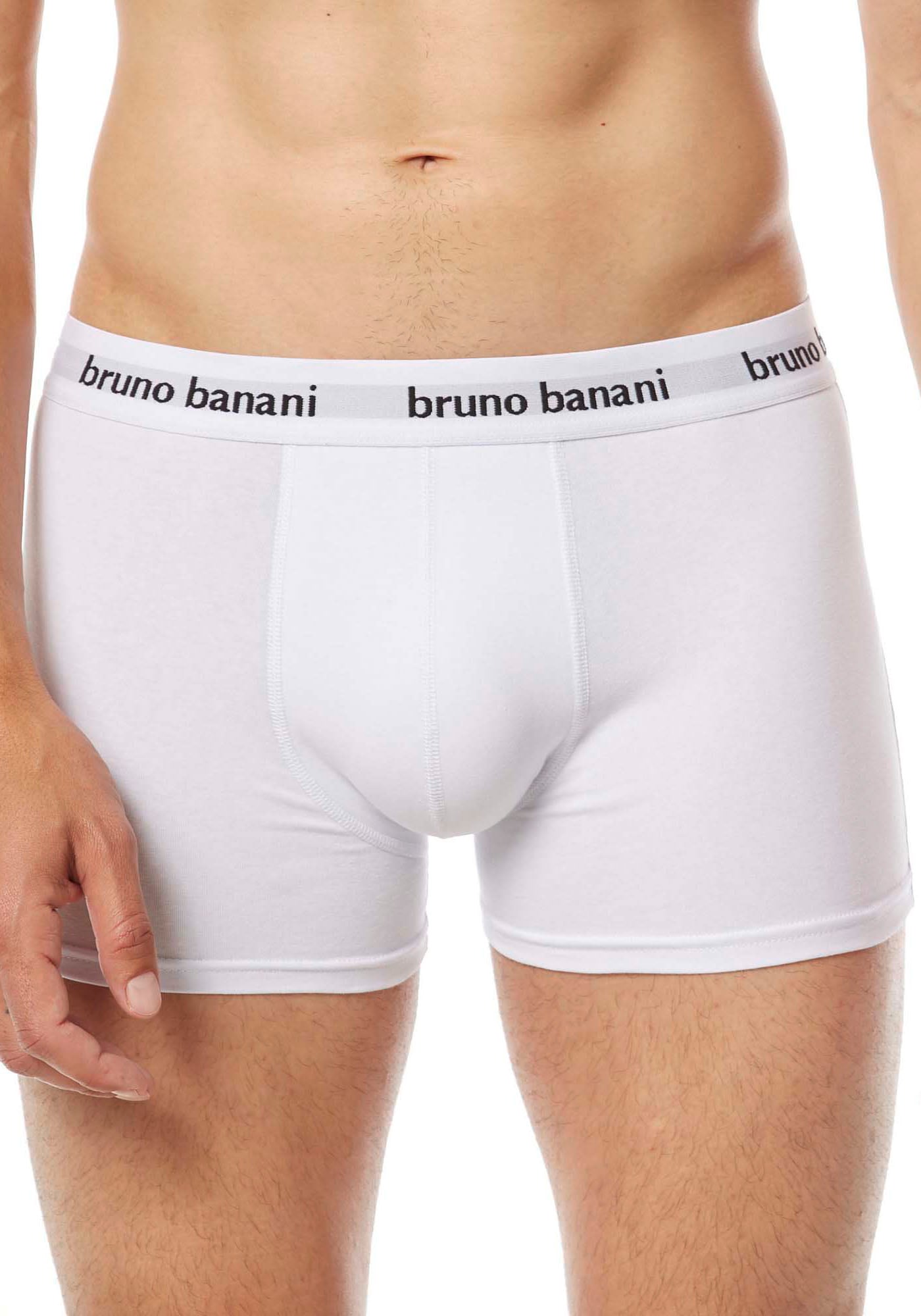 Bruno Banani Boxer »EASY LIFE«, mit Logobund