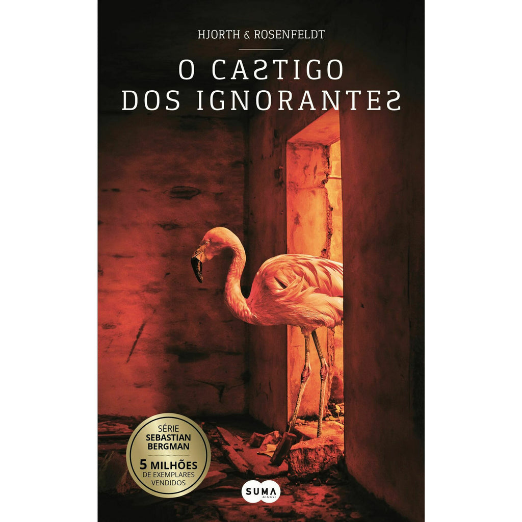 O Castigo dos Ignorantes (Livro de Bolso) de Hans Rosenfeldt e Michael Hjorth