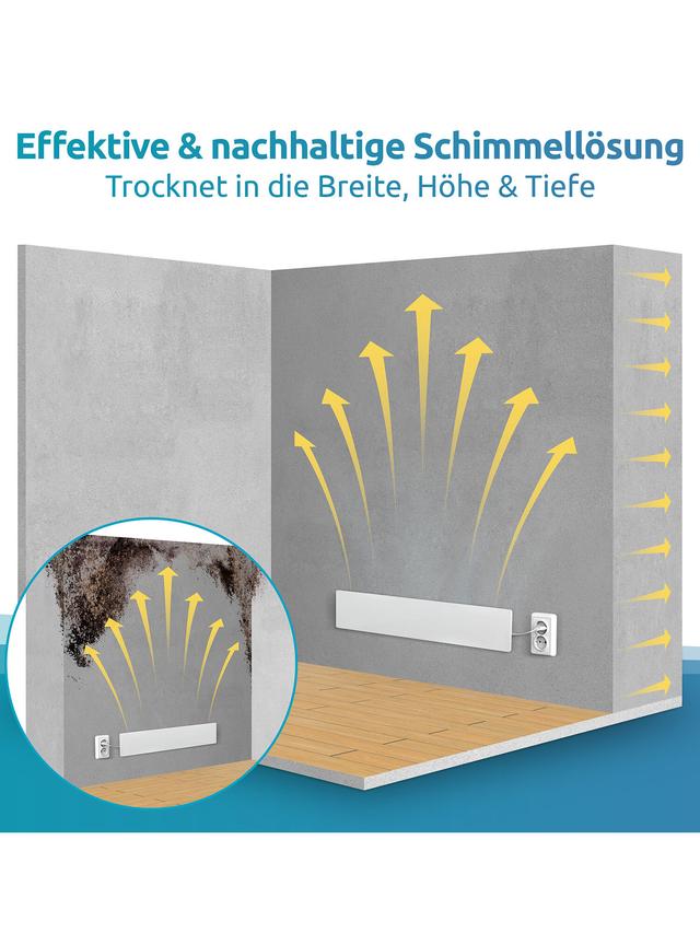Schimmeldry-Set