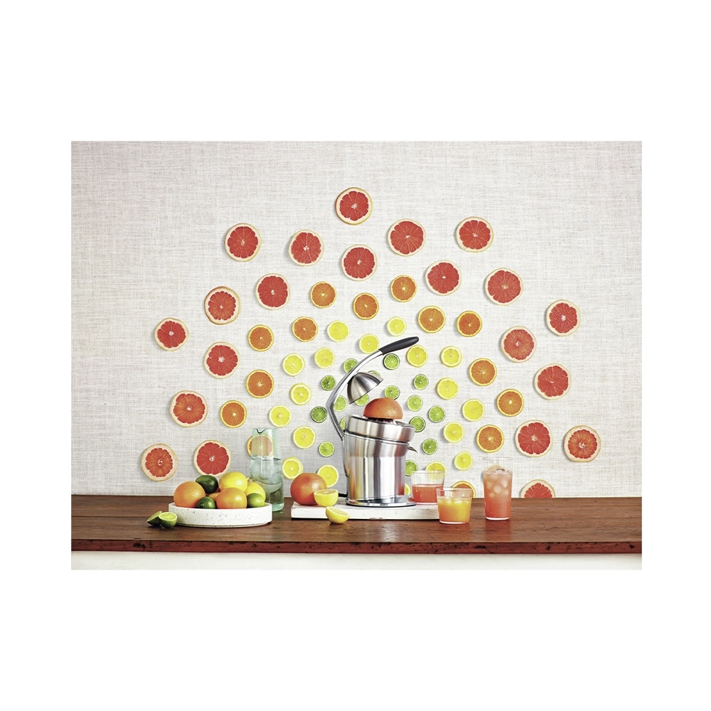 Sage the Citrus Press Pro Zitruspresse