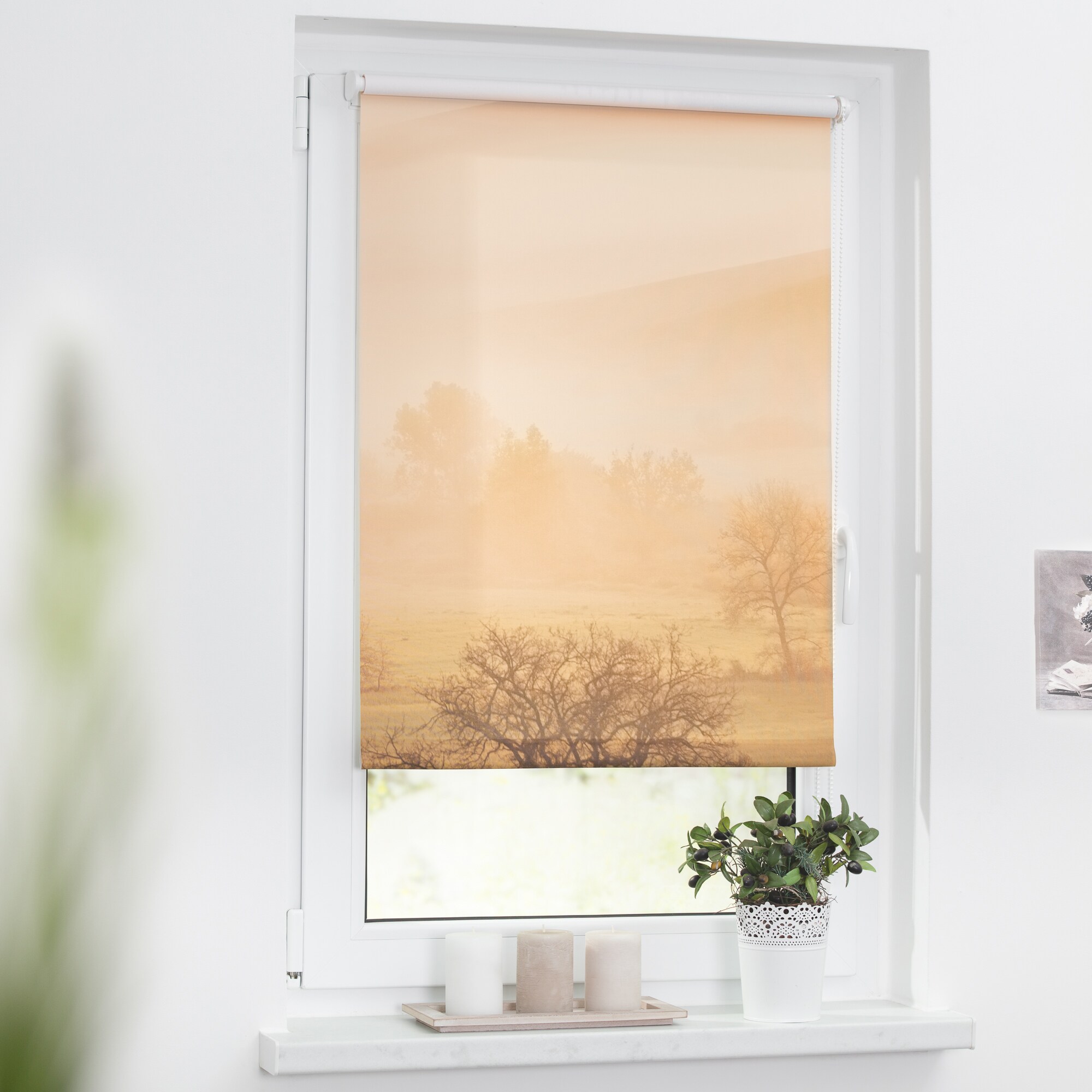 Lichtblick Rollo Klemmfix, ohne Bohren, Verdunkelung, Toskana - Orange Braun