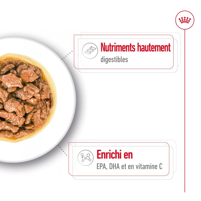 Royal Canin X-Small Adult en sauce