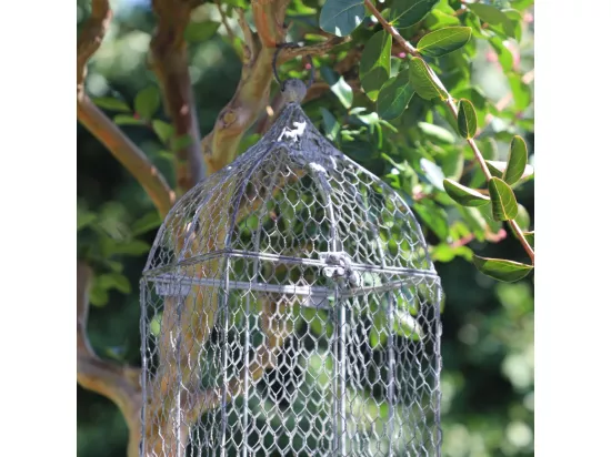 Cage à oiseaux décorative ancienne grillagée métal gris 23x17x45cm