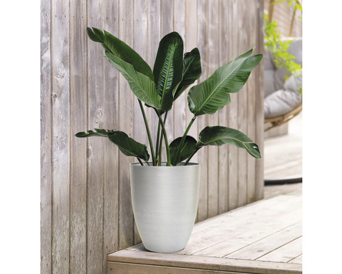 Lafiora plantenpot, kunststof, Ø 35 x H 42,5 cm, zilver