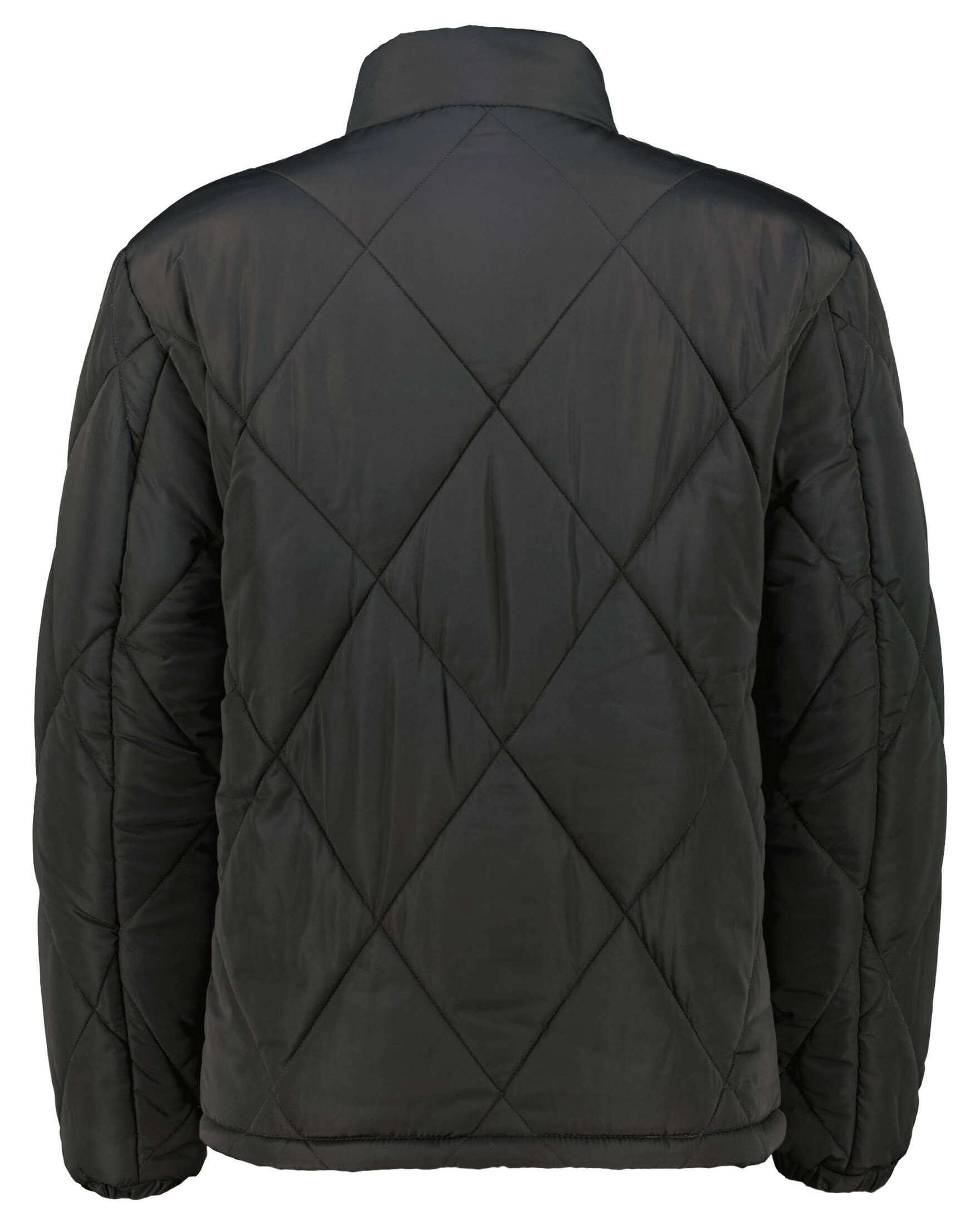 Forêt| Herren Pufferjacke PAMPA