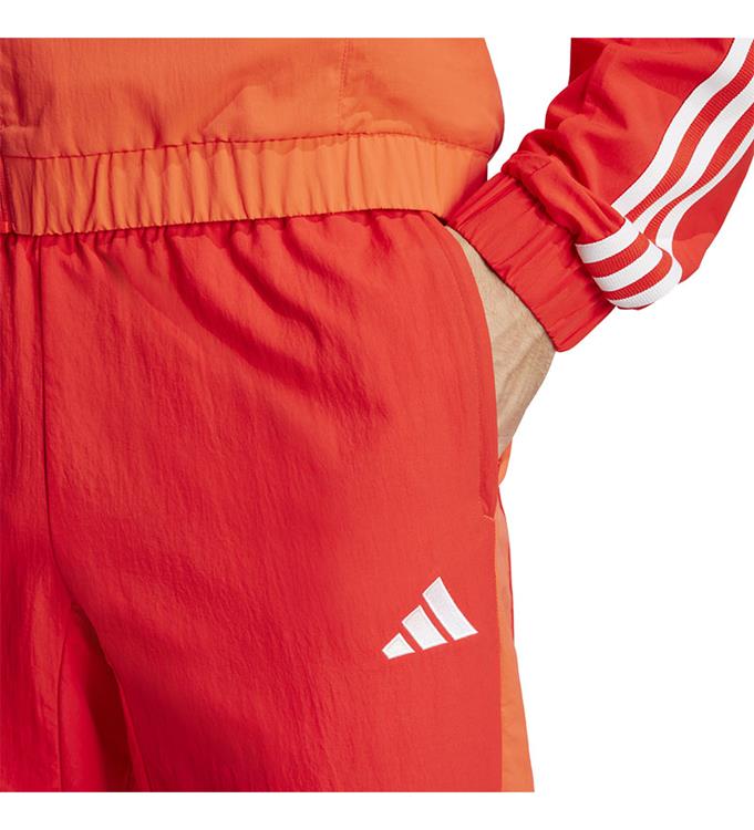 adidas Men FC Bayern München Prematch Trainingsbroek 2023/2024