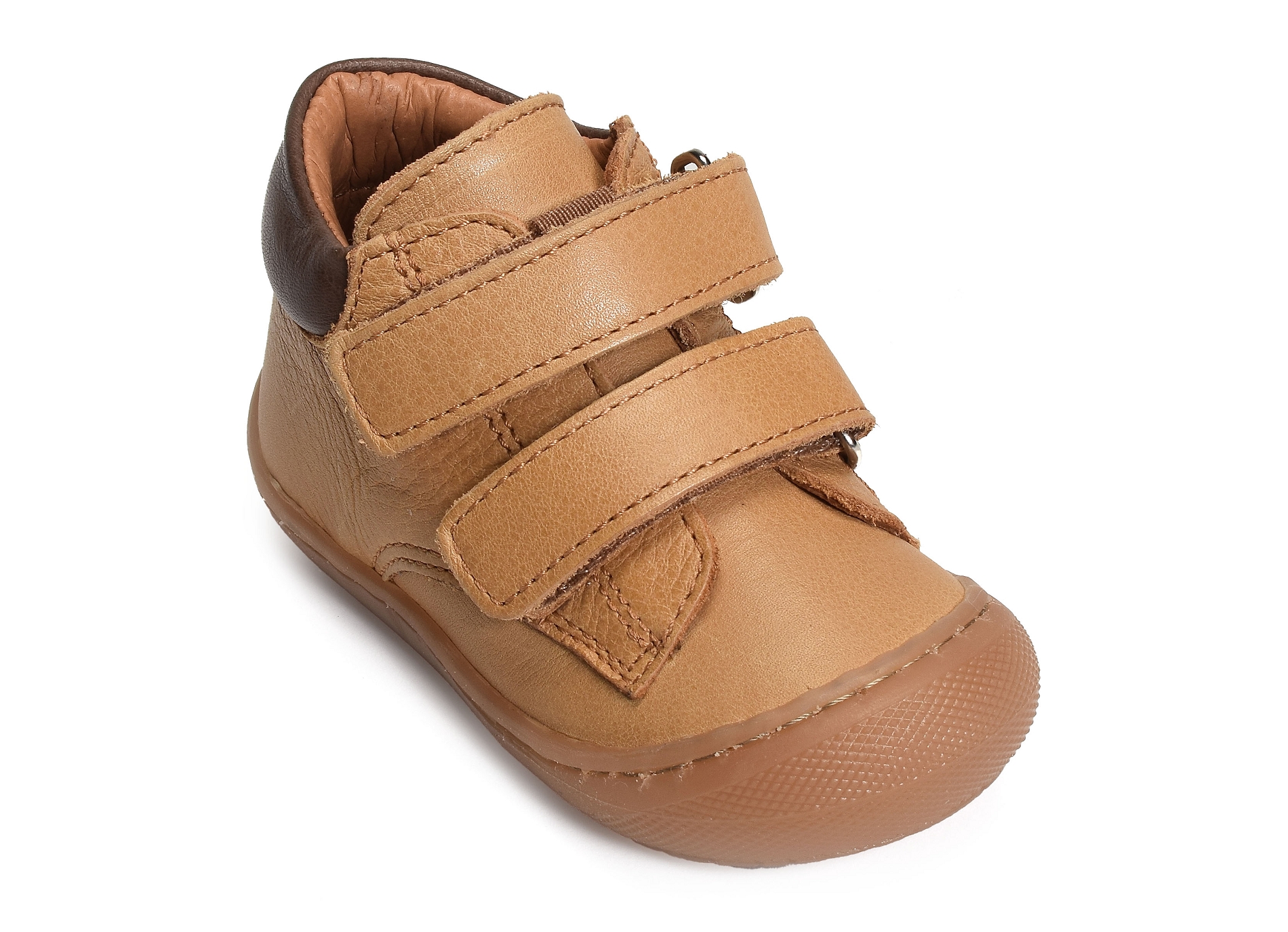 Ilan camel