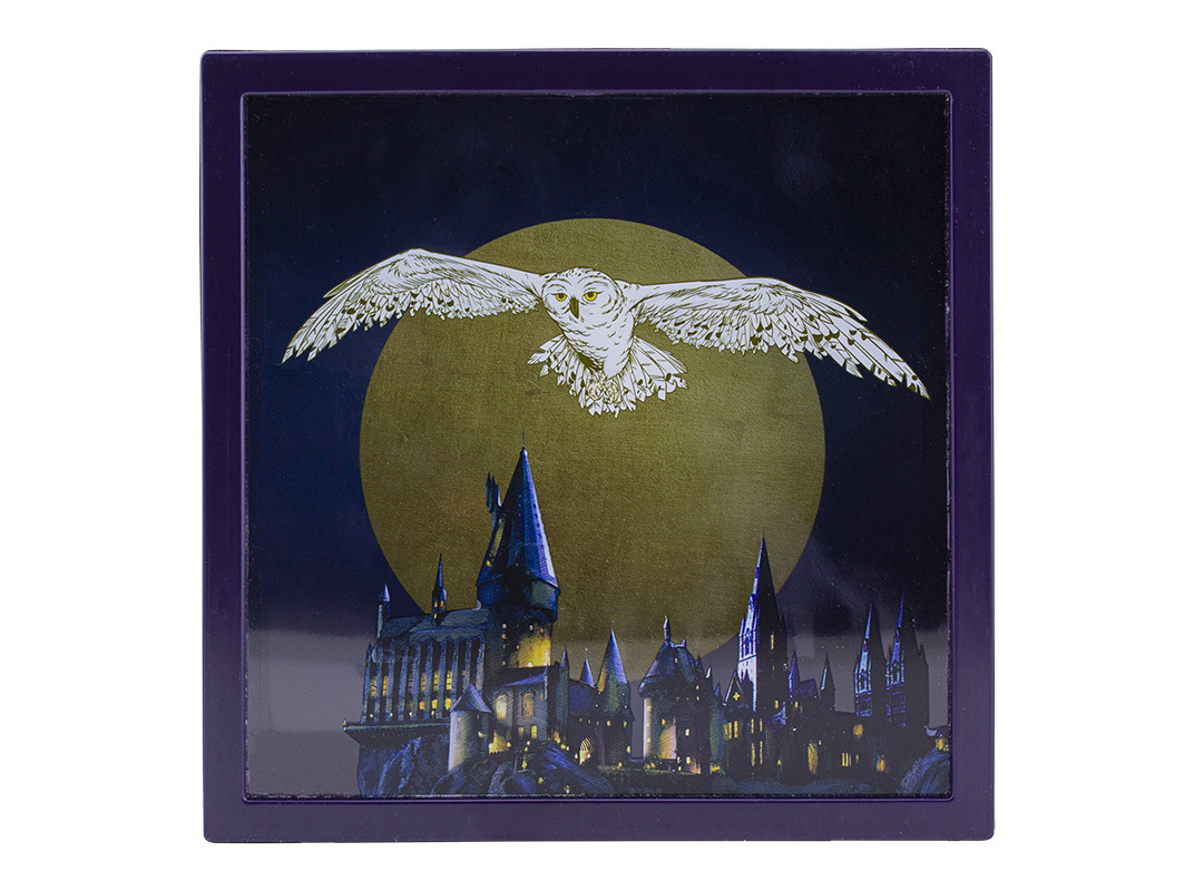 HARRY POTTER MEALHEIRO HEDWIG