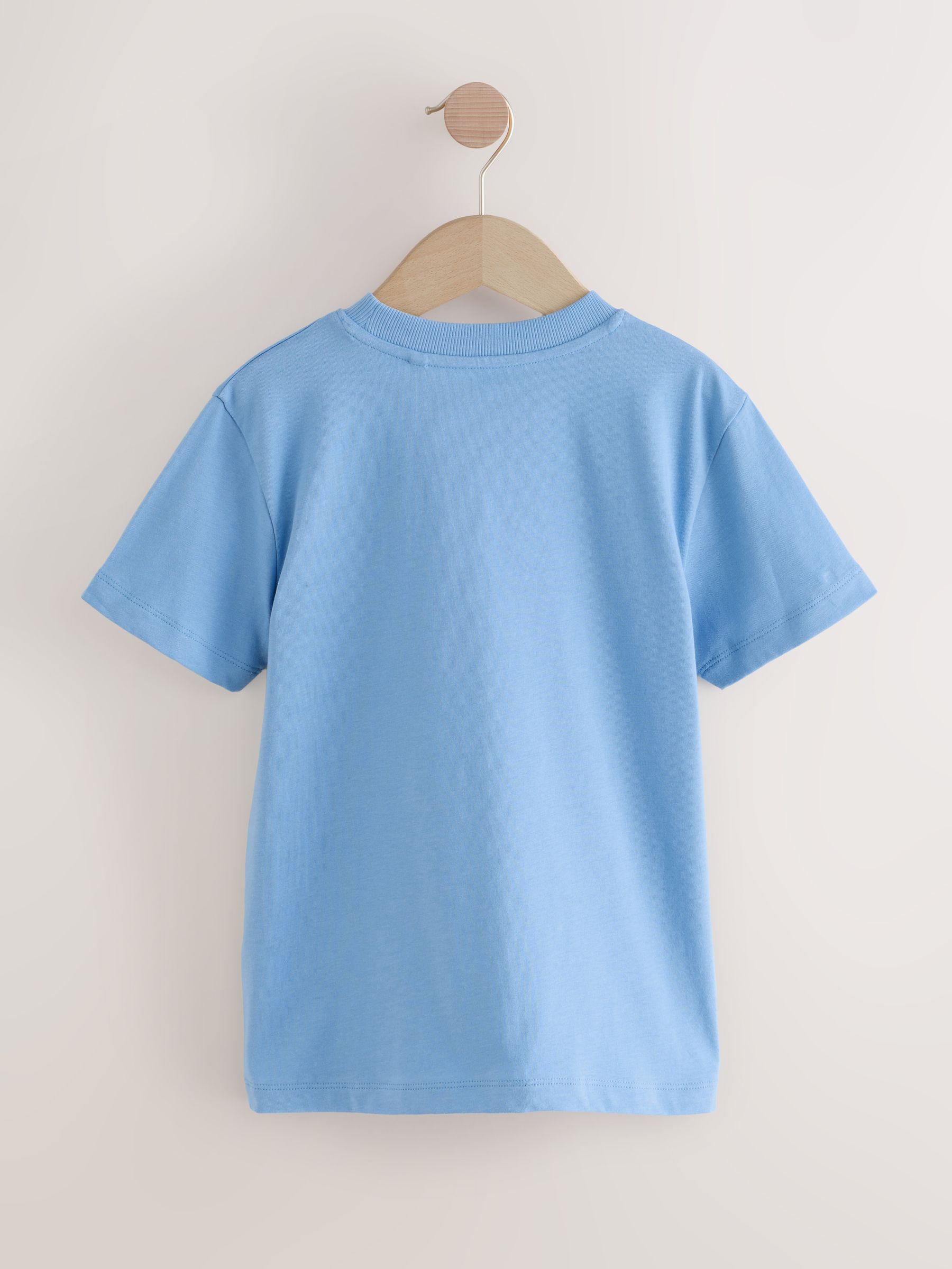 Blauw/Groen/Cement - Verpakking van 5 T-shirts met kleine grafische print op de borst en korte mouwen (3-16jr)