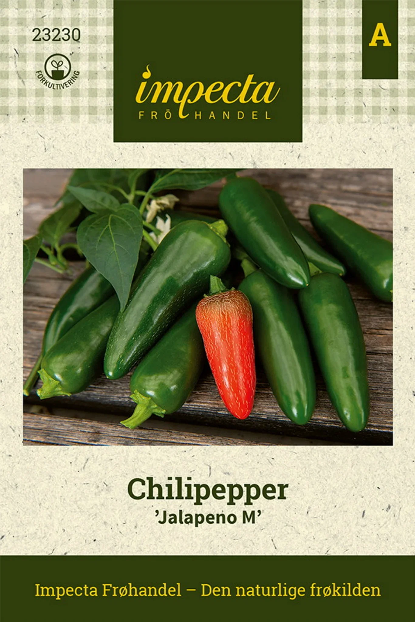 Capsicum annuum 'Jalapeno M' Chilipepper 'Jalapeno M'