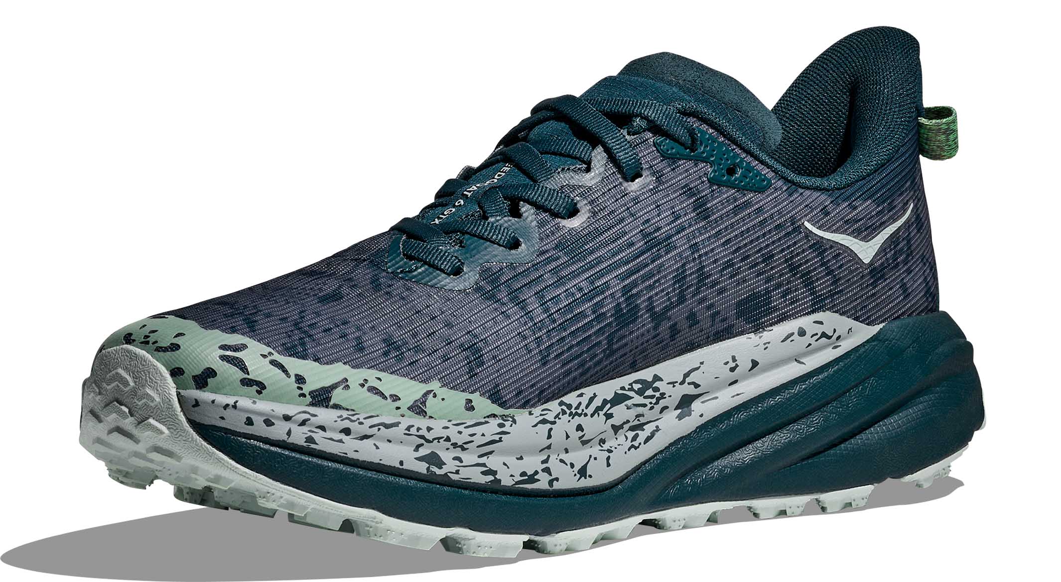 Speedgoat 6 GTX Herre BZY/Blue Twilight/Druzy