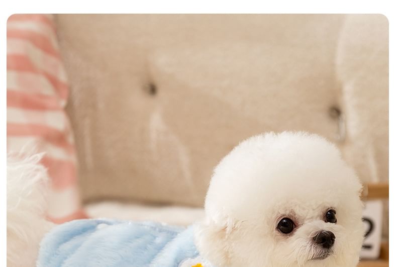Cissilli - Smiley Applique Chenille Pet Top