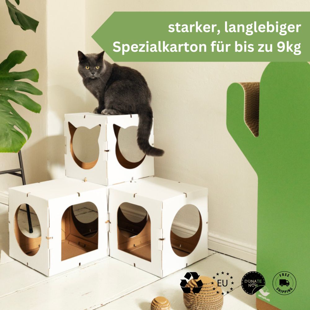 DoPetMe The Kitten Castle