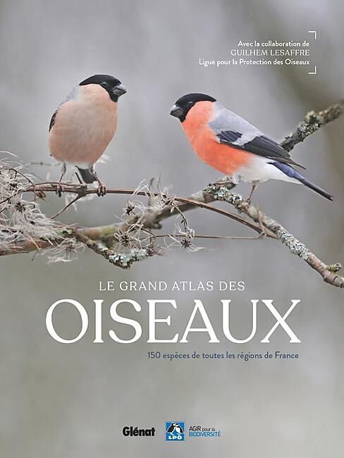 GLENAT - LE GRAND ATLAS DES OISEAUX