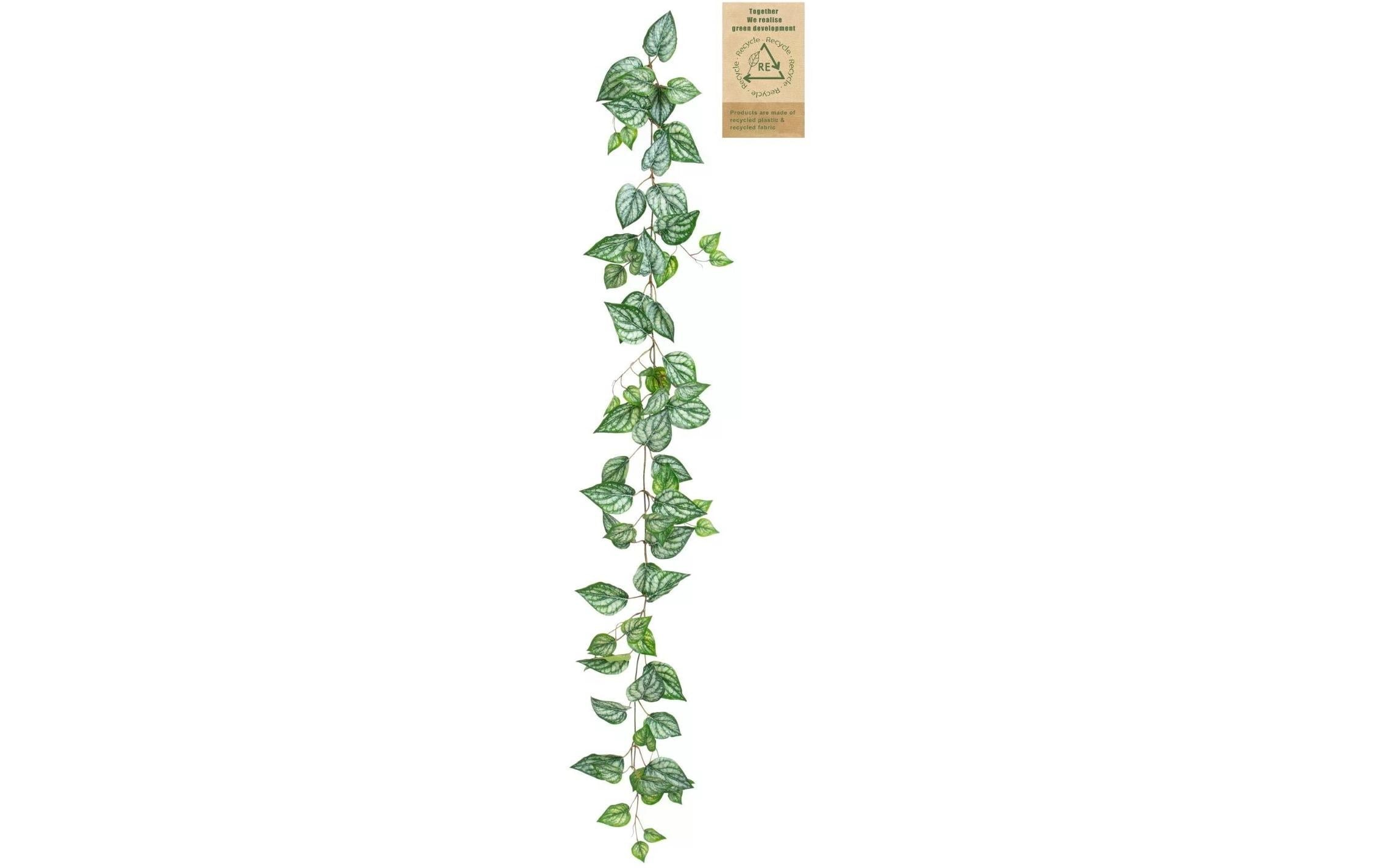 Botanic-Haus Kunstblume »Calatheagirlande 150 cm«
