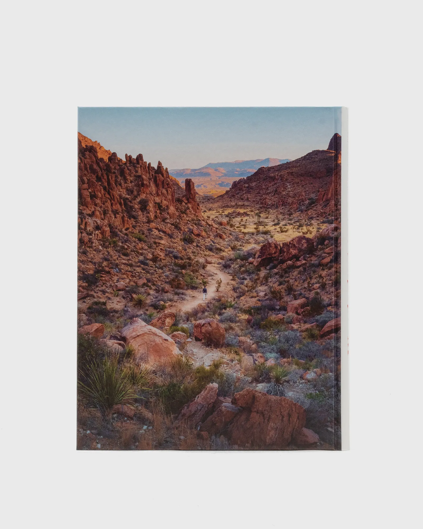 Gestalten “Wanderlust USA” by Cam Honan