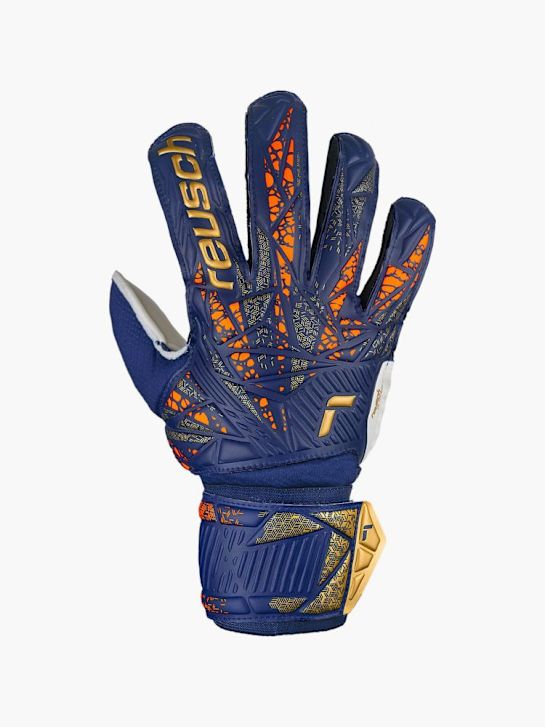 Reusch Equipment Blau