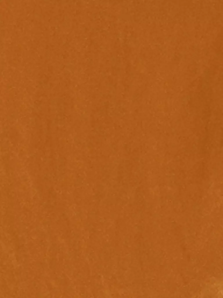 LUISA CERANO Bluse  orange
