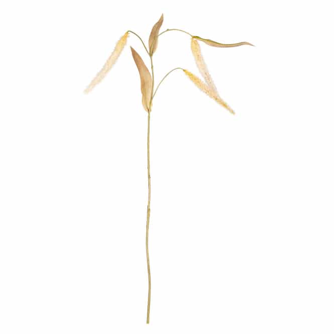 Fruchtstand - ca. 80 cm