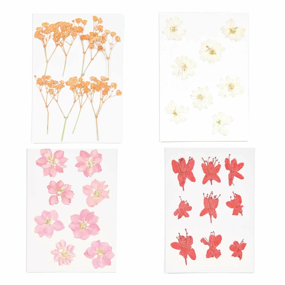 4 sets de bouquets séchés et pressés