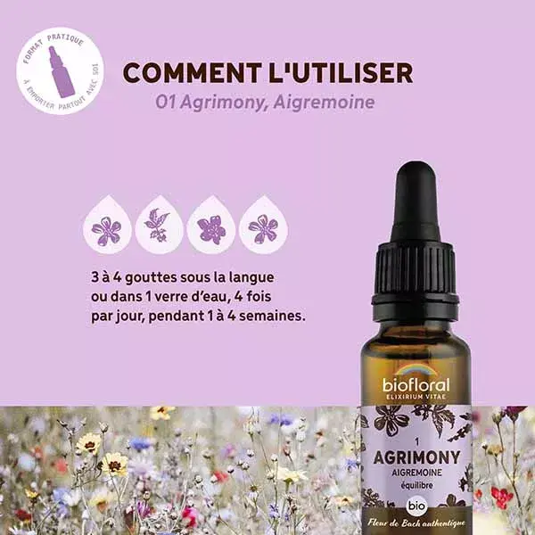 Florais de Bach Biofloral 01 Agrimônia (Agrimony) Orgânicos em conta-gotas de 20 ml