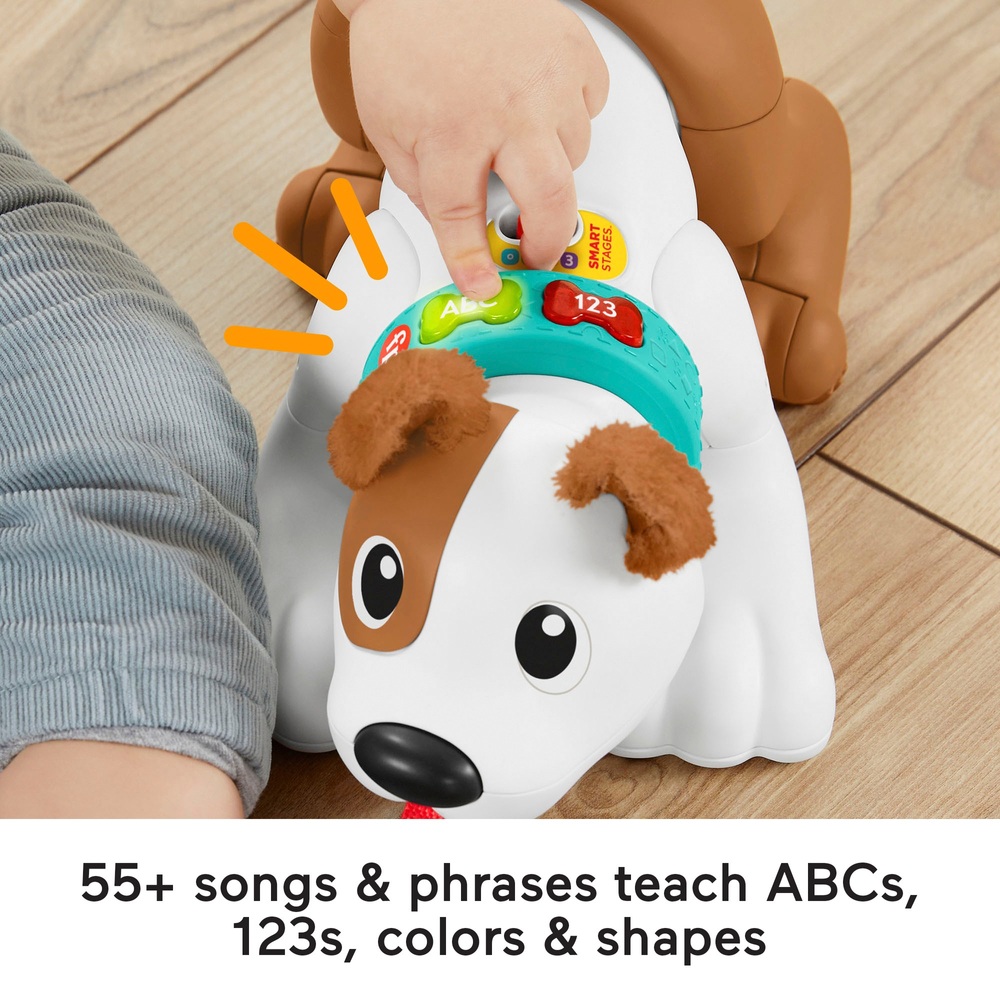 Fisher-Price 123 Krabbel-mit-mir-Welpe-Babyspielzeug