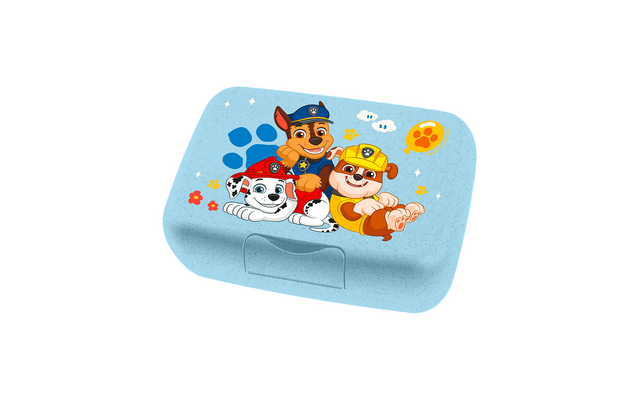 Koziol Candy L Box Lunchbox / Brotdose mit Trennschale