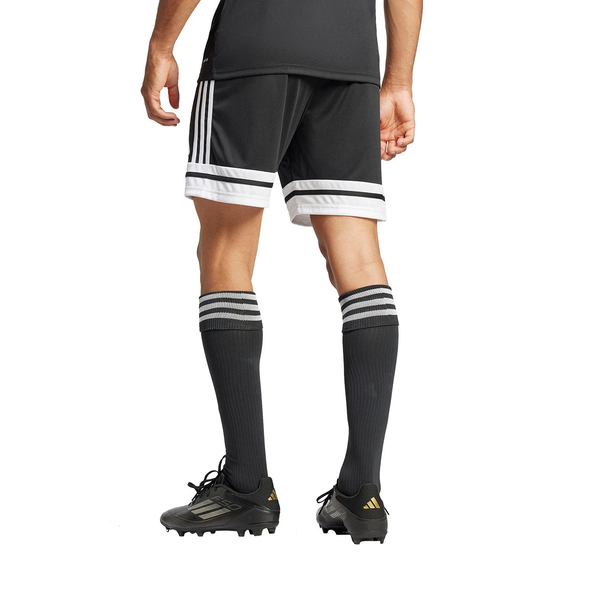 Calções adidas Squadra 25 II