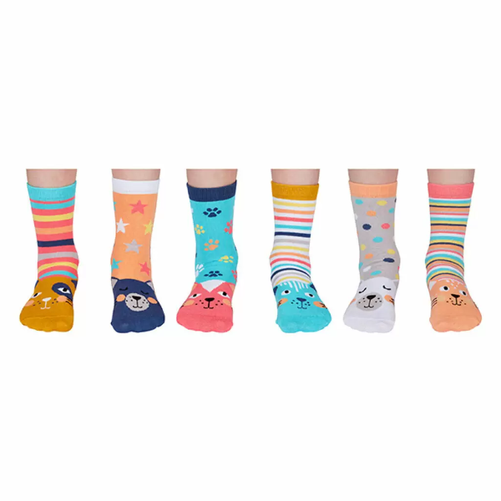 Zubehör - Socken Socken Catkins 27-31 multicolor