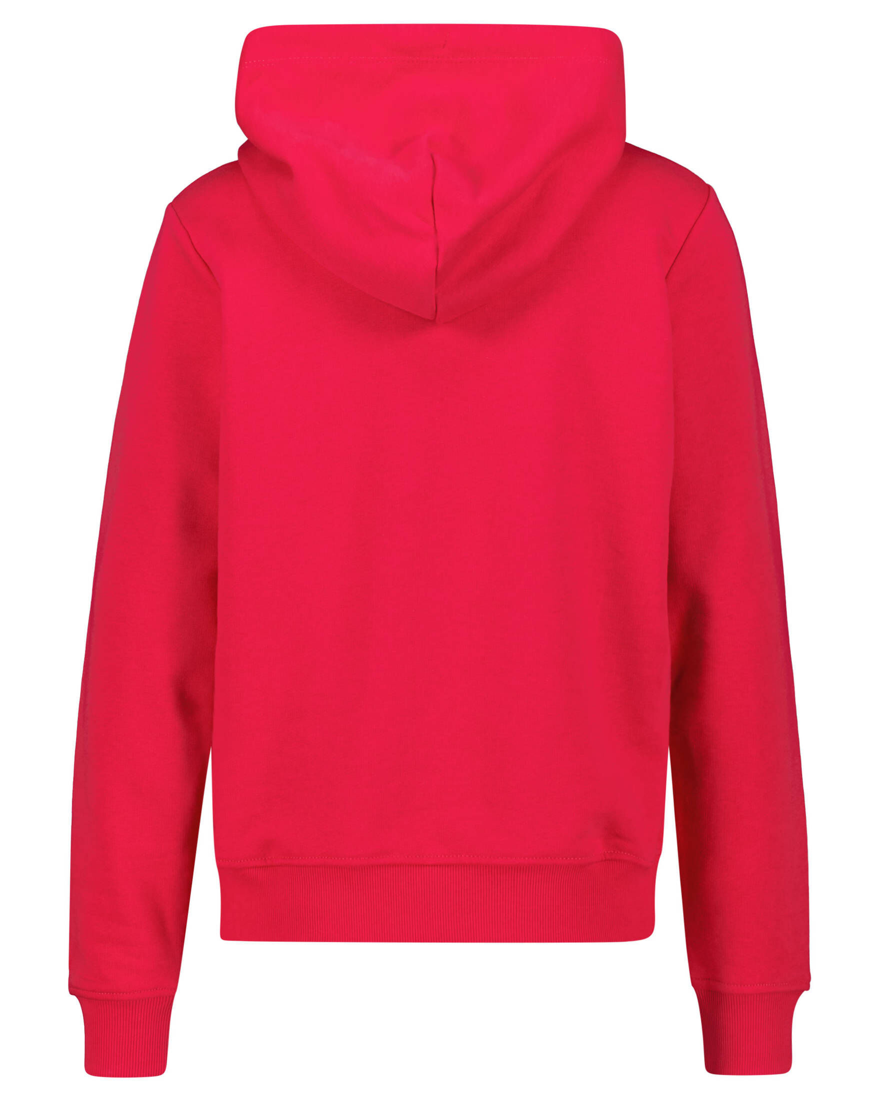 Tommy Jeans| Damen Hoodie TJW REG SERIF LINEAR HOODIE
