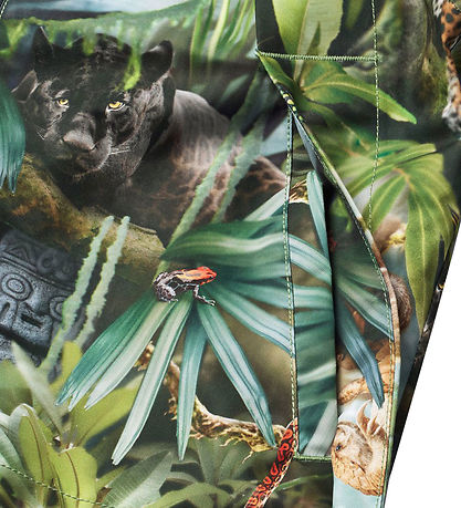 Molo Sommerjacke - Hoplas - Jungle Life
