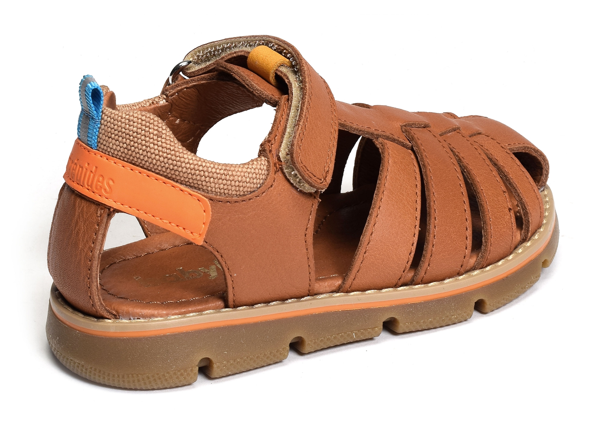 Kiko camel