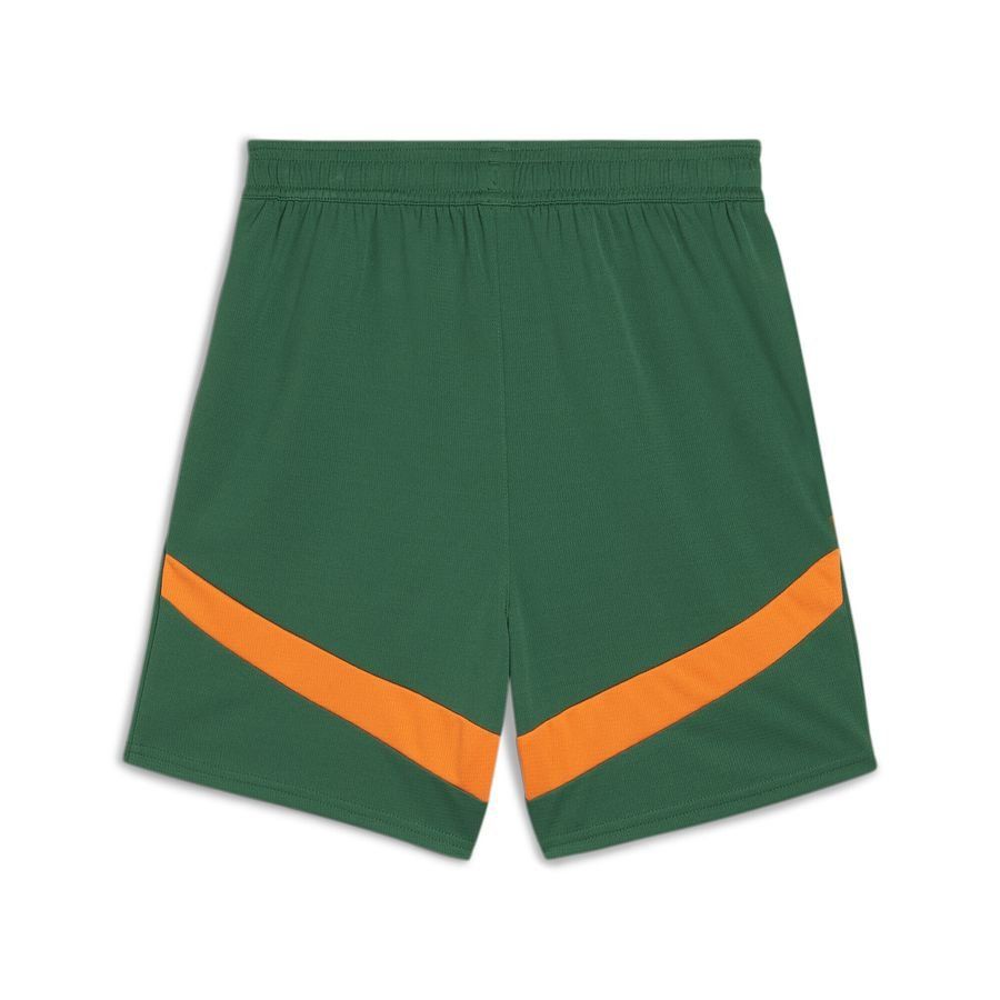 Puma Valencia CF 24/25 Shorts