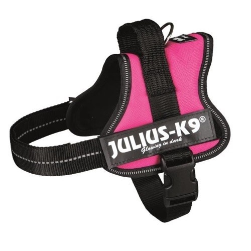 Coleira de Reforço Julius K-9 Fuchsia para Cães