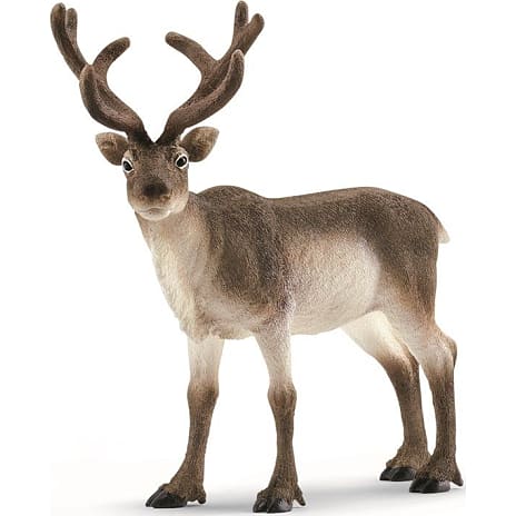 Schleich rensdyr