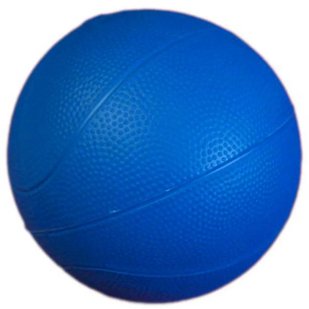 Leisis Polyvalent L Ball