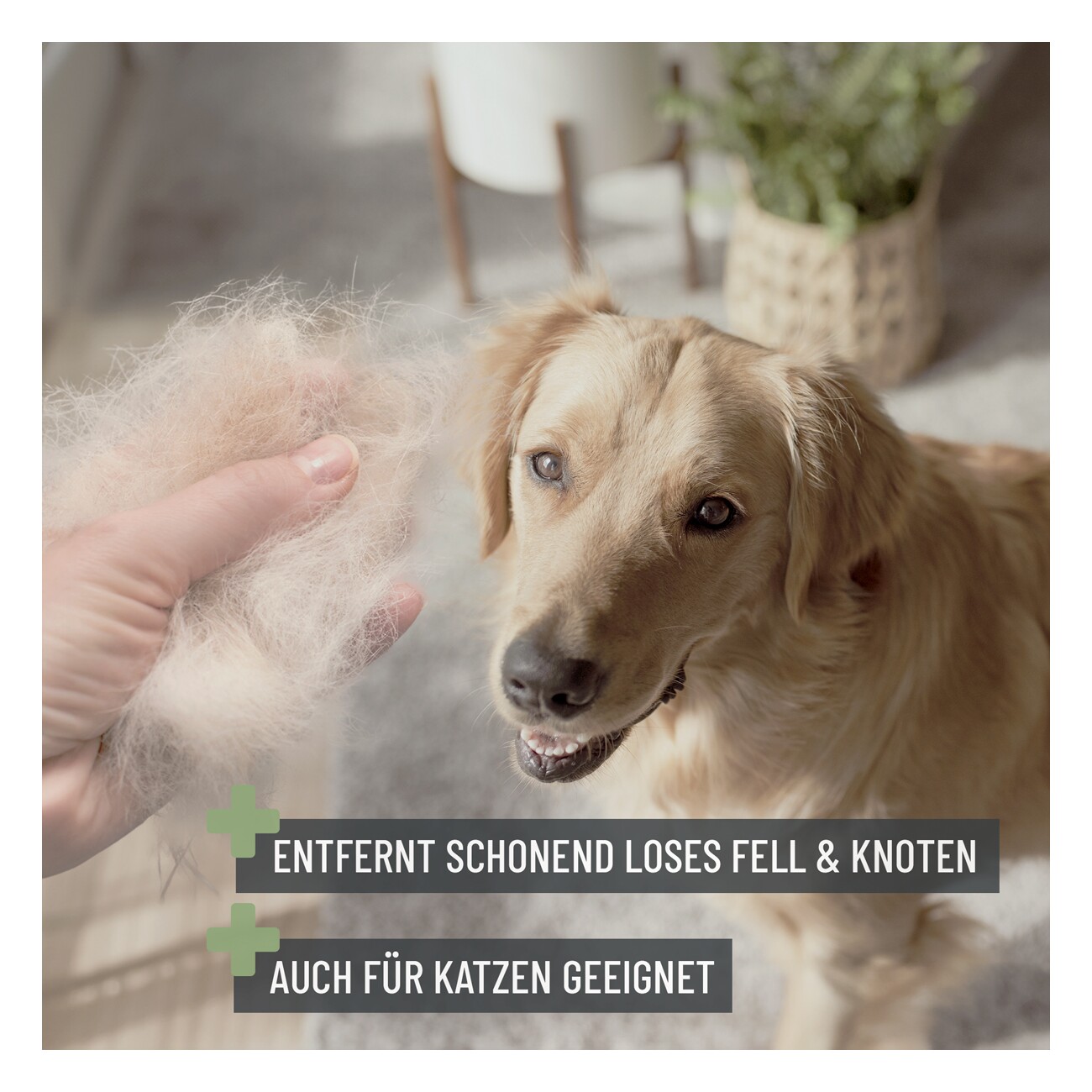 REAVET Zupfbürste für Langhaar (S)
