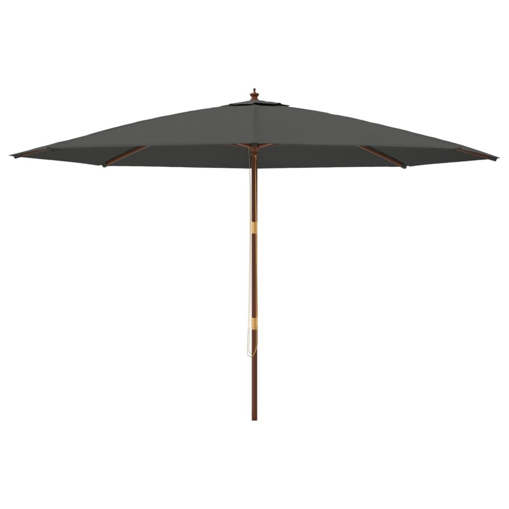 Parasol de jardin avec mât en bois 400 x 273 cm anthracite