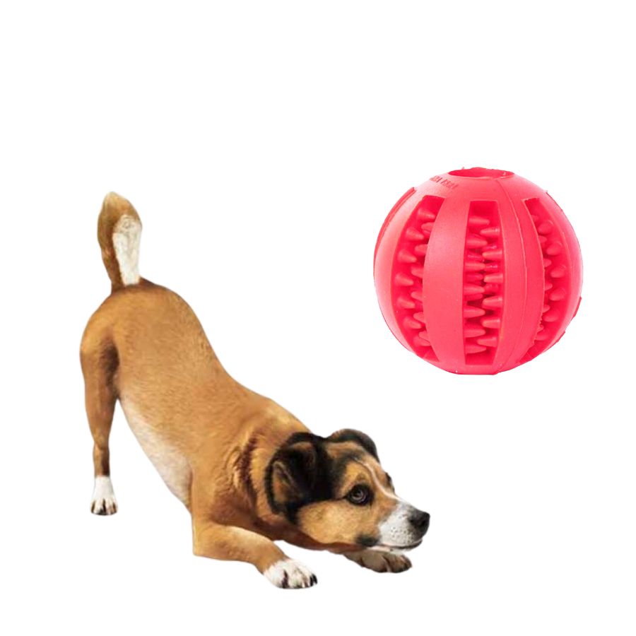 Bola de borracha para adestramento de cães