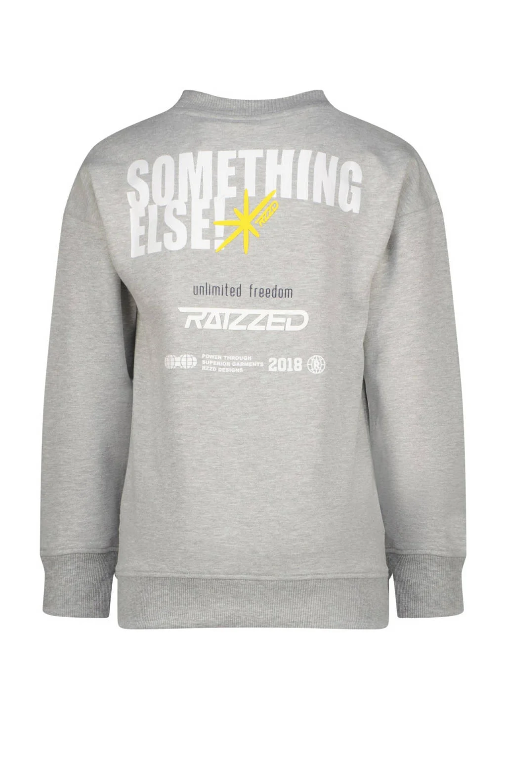 Raizzed sweater grijs
