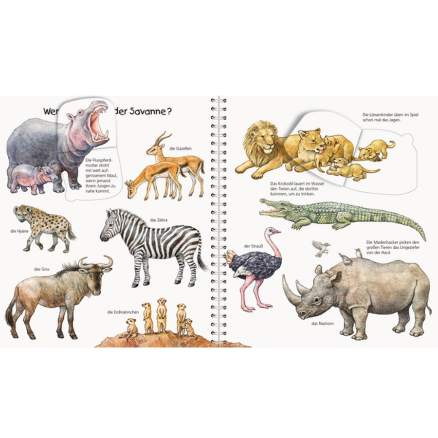 RAVENSBURGER Wieso? Weshalb? Warum? Sonderband: Mein junior-Lexikon Tiere