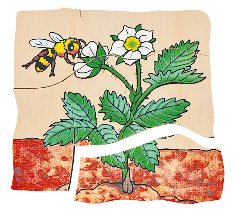 Beleduc Lagen-Puzzle Erdbeere