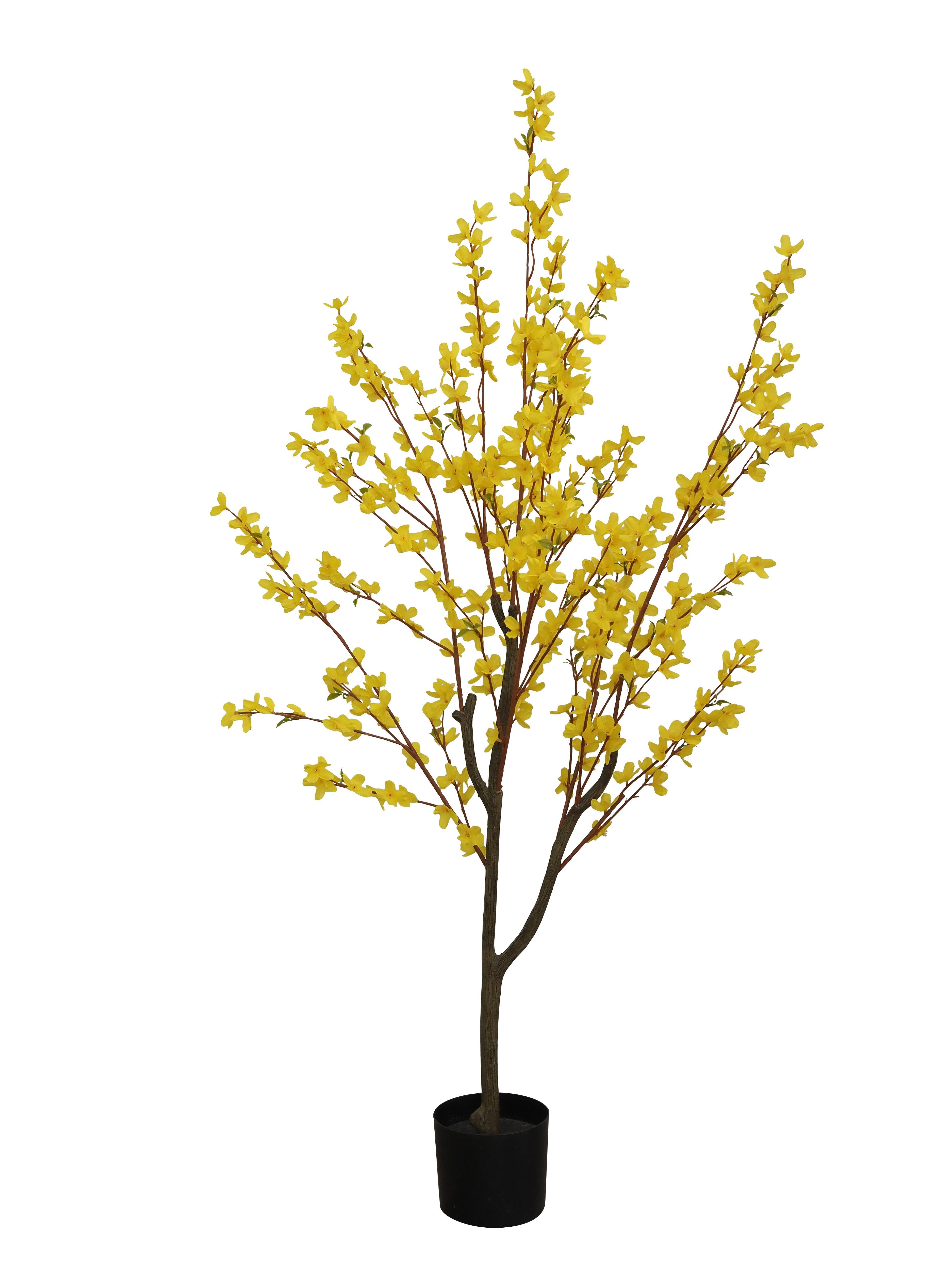 FORSYTHIA POT PLASTIQUE NOIR H.150CM JAUNE