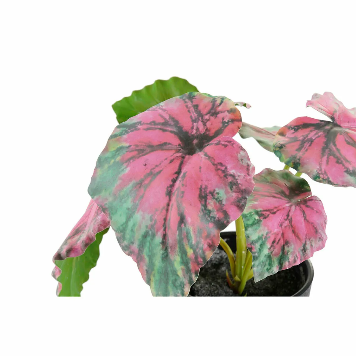 DKD Home Decor Plante Rose Vert
