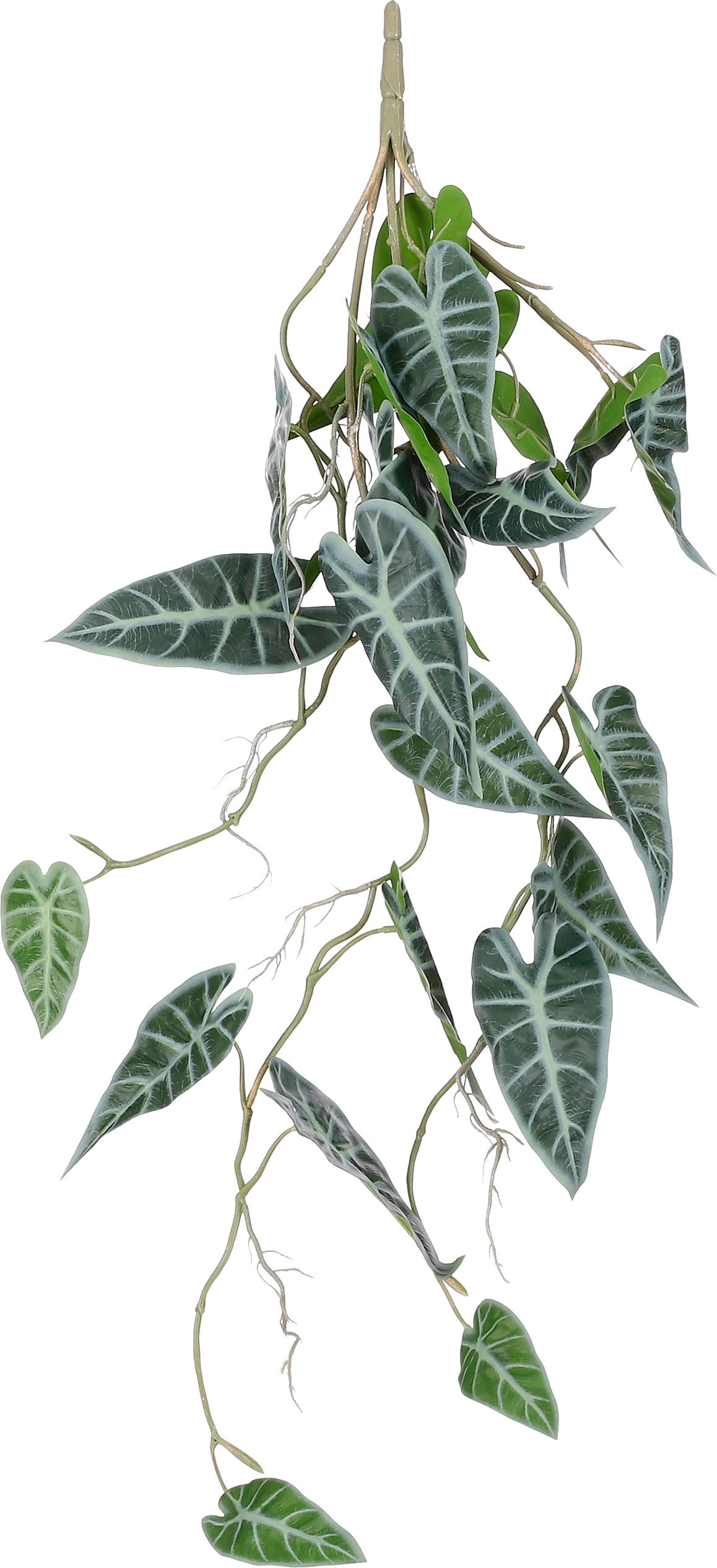 Mica Decorations kunsthangplant Alocasia 80 x 30 x 13 cm groen