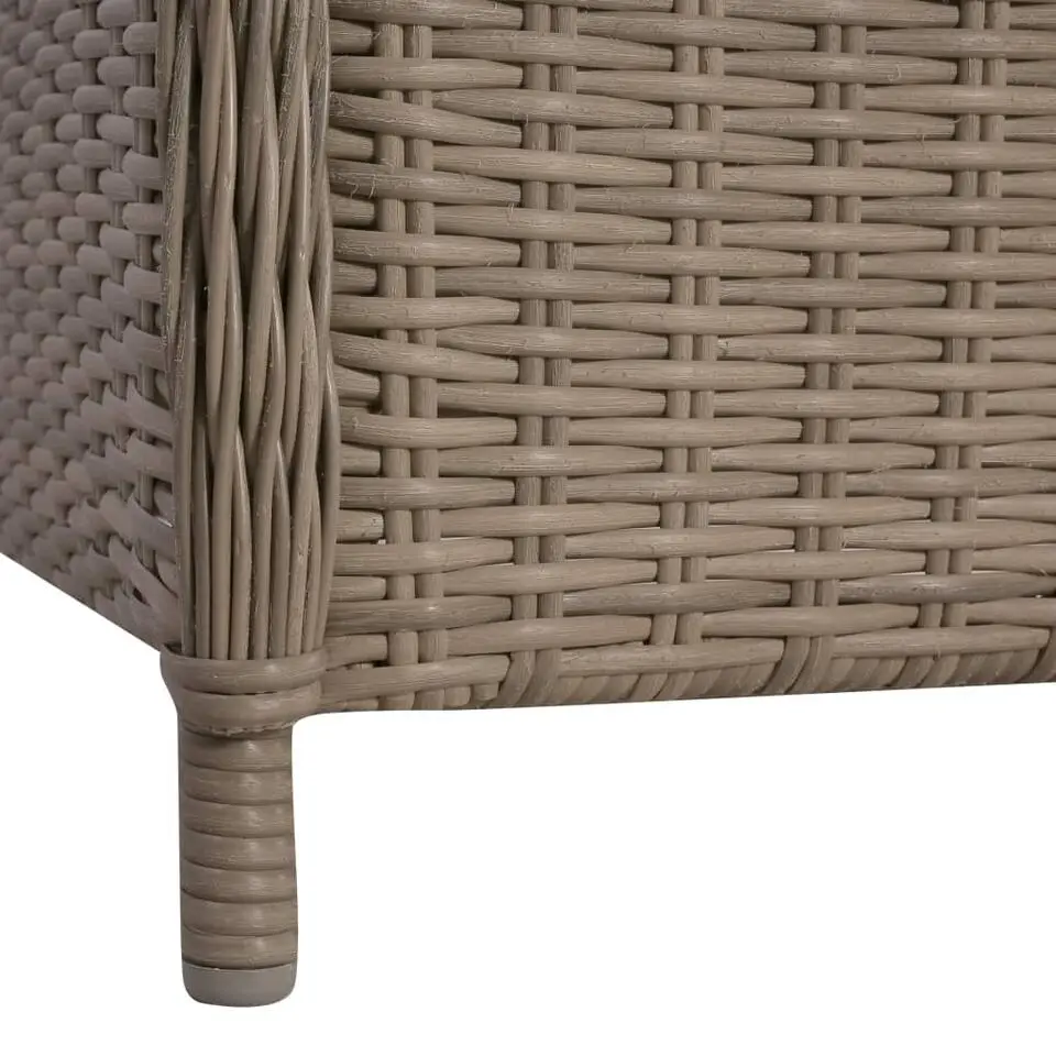vidaXL - Tuinstoel - Bruin - Poly rattan - 2 stuks