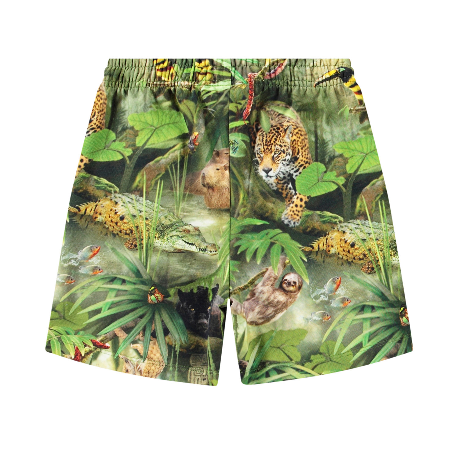 Amil - Jungle Animals