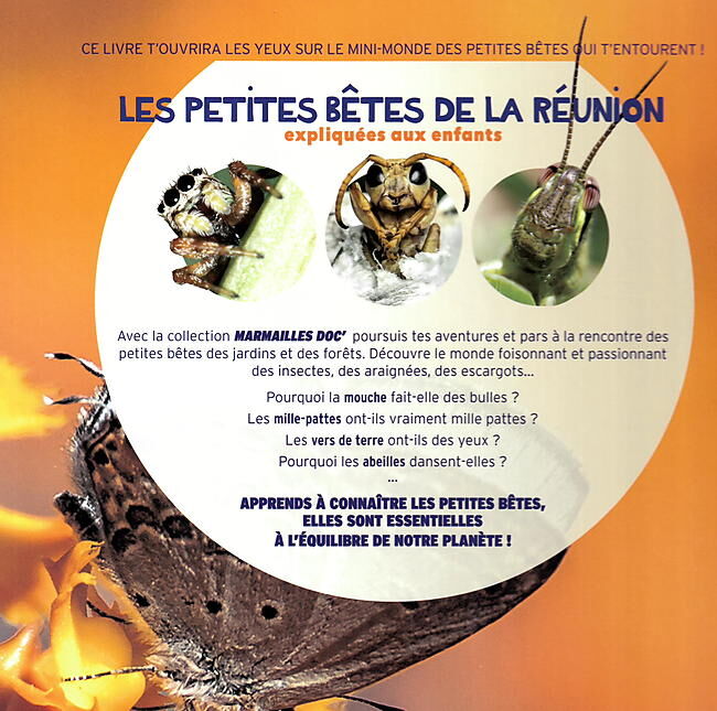 AUSTRAL EDITIONS - LES PETITES BETES DE LA REUNION